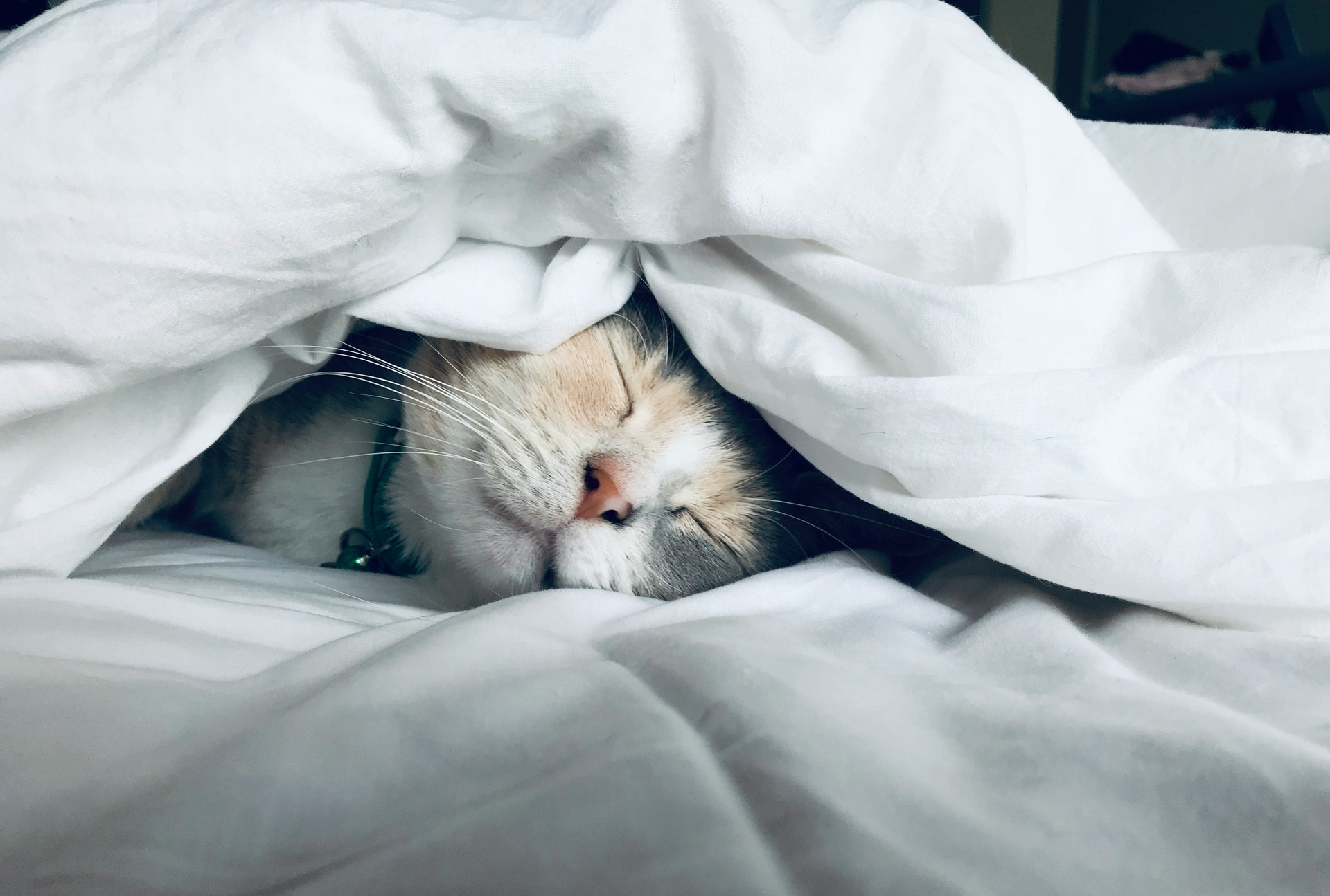 北京軟件開發，睡眠監測app開發的功能介紹