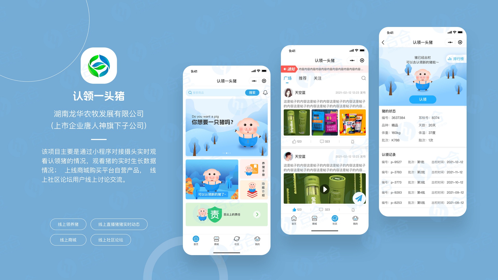 網站安全與隱私保護