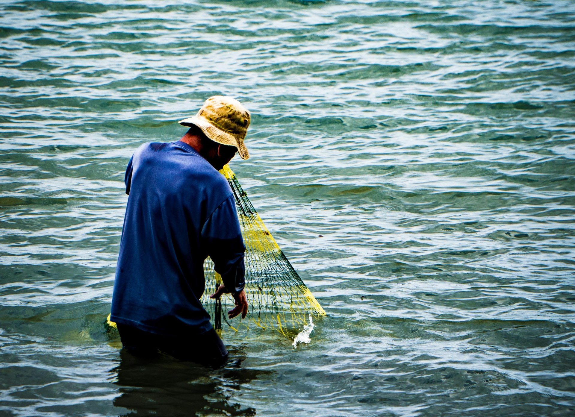 唐山水產養殖App開發，打造智能化魚塘管家